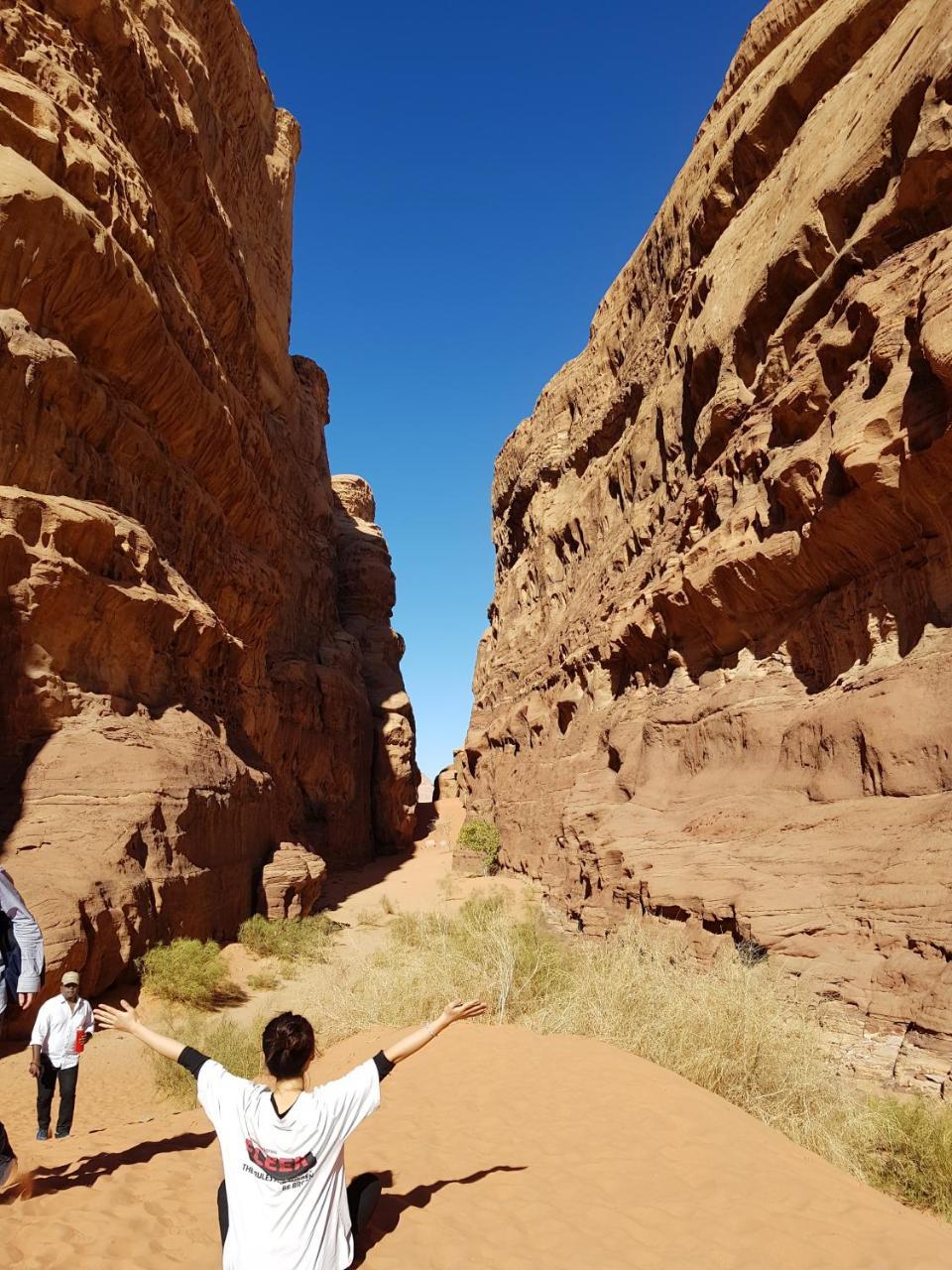 7 Pillars Camp & Jeep Tour In Wadi Rum Desert מראה חיצוני תמונה