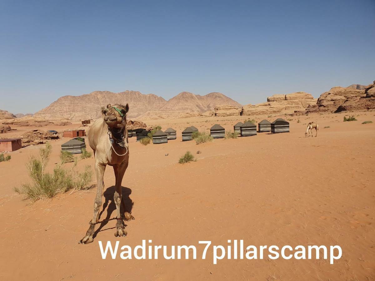 7 Pillars Camp & Jeep Tour In Wadi Rum Desert מראה חיצוני תמונה